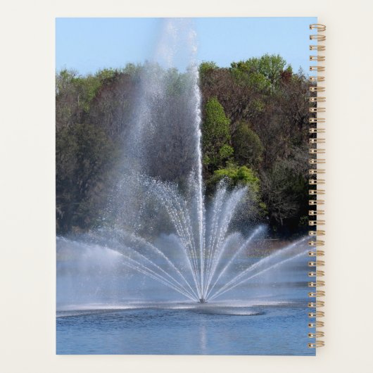 Brunnen am See Planer (Rückseite)