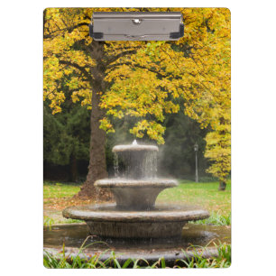 Brunnen an einem Baum im Herbst, Deutschland Klemmbrett
