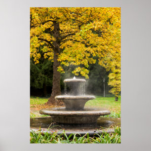 Brunnen an einem Baum im Herbst, Deutschland Poster