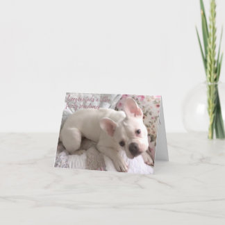 Brunnen-Card Französisches Bulldog-Shabby Chic Dankeskarte