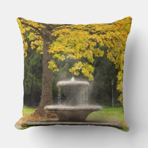 Brunnen durch einen Baum im Herbst, Deutschland Kissen
