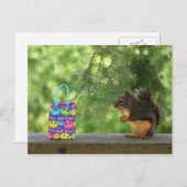 Brunnen Eichhörnchen Postkarte (Vorne/Hinten)