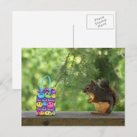 Brunnen Eichhörnchen Postkarte (Vorne/Hinten)