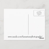 Brunnen Eichhörnchen Postkarte (Rückseite)