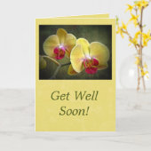 Brunnen Gelbe Mottenorchideen - Phalaenopsis Karte (Gelbe Blume)