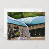 Brunnen im Birch Aquarium in La Jolla Postkarte (Vorne/Hinten)