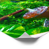 Brunnen in den Tropen Poster (Ecke)