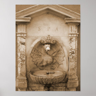 Brunnen in Rom Poster