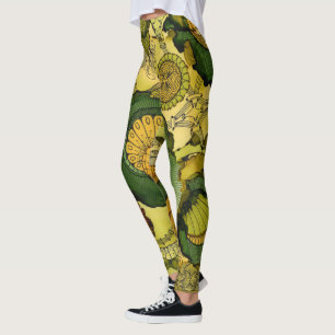 Brunnen-möglicherweise Leggings