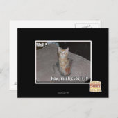 Brunnen? Postkarte (Vorne/Hinten)