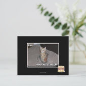 Brunnen? Postkarte (Stehend Vorderseite)