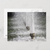 Brunnen Postkarte (Vorne/Hinten)