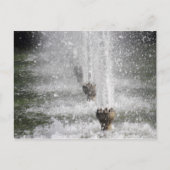 Brunnen Postkarte (Vorderseite)