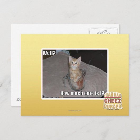 Brunnen? Postkarte (Vorne/Hinten)