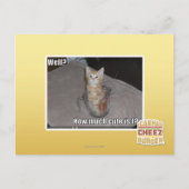 Brunnen? Postkarte (Vorderseite)