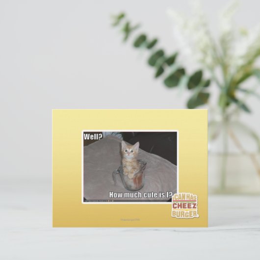 Brunnen? Postkarte (Stehend Vorderseite)