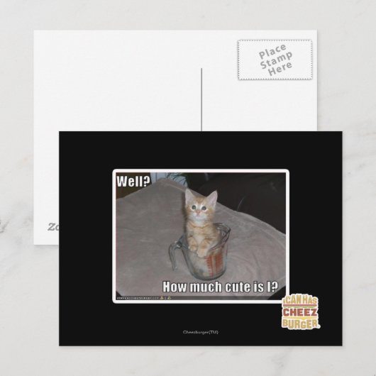 Brunnen? Postkarte (Vorne/Hinten)