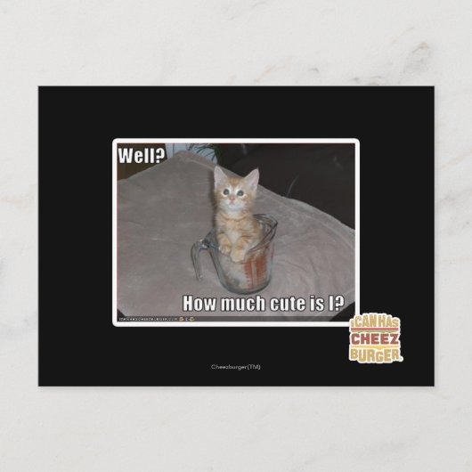 Brunnen? Postkarte (Vorderseite)