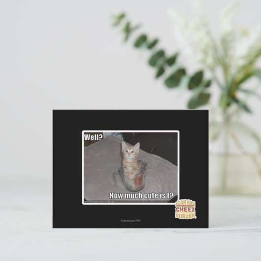 Brunnen? Postkarte (Stehend Vorderseite)