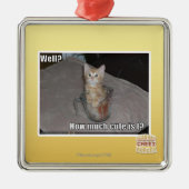 Brunnen? Silbernes Ornament (Vorne)