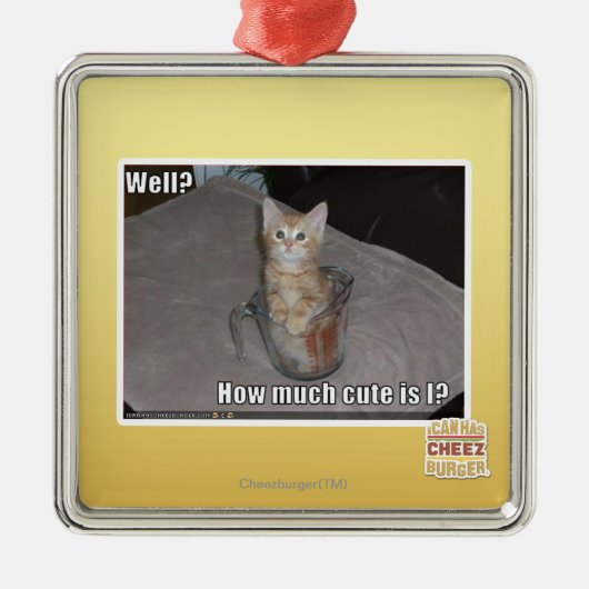 Brunnen? Silbernes Ornament (Vorne)