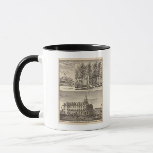Brunnen Spring House & Lain Tasse (Links)