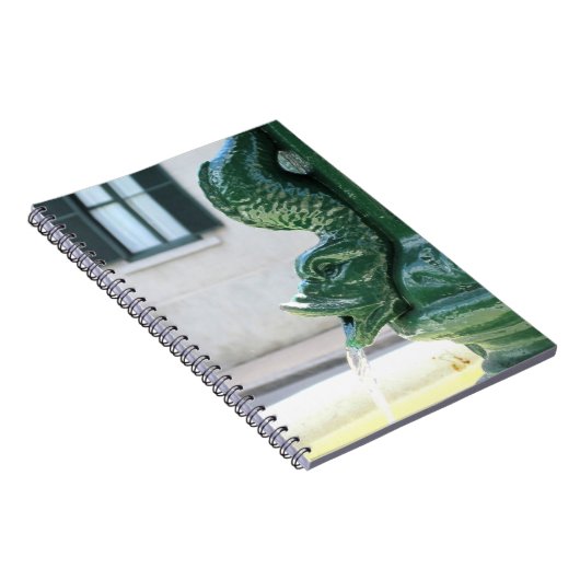 Brunnen von Sharon Dawn ~ Notizblock (Rechte Seite)