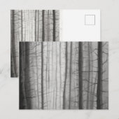Brunnenwald Postkarte (Vorne/Hinten)