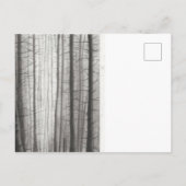 Brunnenwald Postkarte (Rückseite)