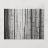 Brunnenwald Postkarte (Vorderseite)