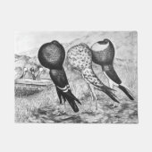 Brunner Pouter-Tauben Fußmatte (Vorderseite)