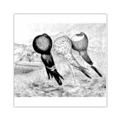 Brunner Pouter Tauben Gummistempel (Prägung)