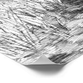 Brunner Pouter Tauben Poster (Ecke)