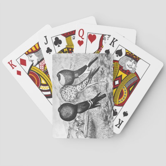 Brunner Pouter-Tauben Spielkarten (Rückseite)