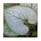 Brunnera Macrophylla Pflanze Leaf Floral Fliese (Vorderseite)