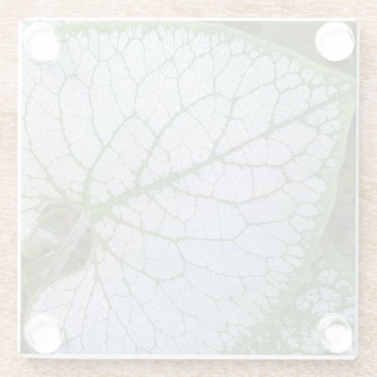 Brunnera Macrophylla Pflanze Leaf Floral Glasuntersetzer (Rückseite)