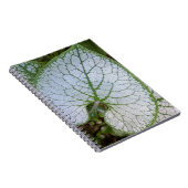 Brunnera Macrophylla Pflanze Leaf Floral Notizblock (Rechte Seite)