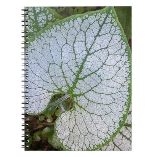 Brunnera Macrophylla Pflanze Leaf Floral Notizblock (Vorderseite)