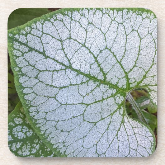 Brunnera Macrophyllum Pflanze Leaf Floral Getränkeuntersetzer (Vorderseite)