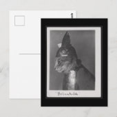 Brunnhilde Kätzchen Postkarte (Vorne/Hinten)