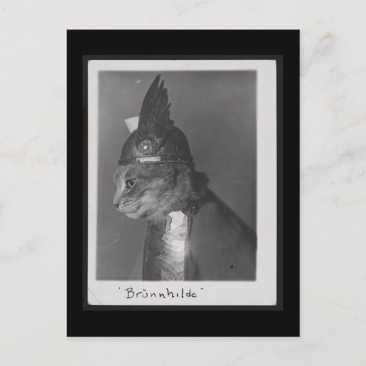 Brunnhilde Kätzchen Postkarte (Vorderseite)
