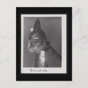 Brunnhilde kitty postkarte