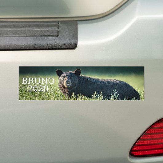 Bruno 2020 Autoaufkleber (Auf Auto)