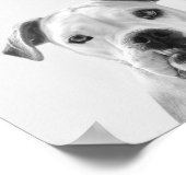 Bruno, der amerikanische Bulldog Poster (Ecke)