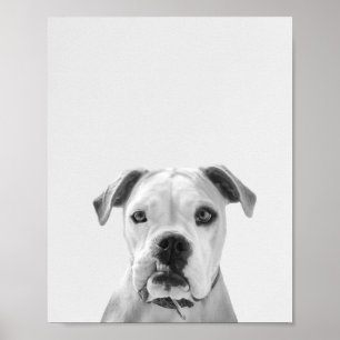 Bruno, der amerikanische Bulldog Poster