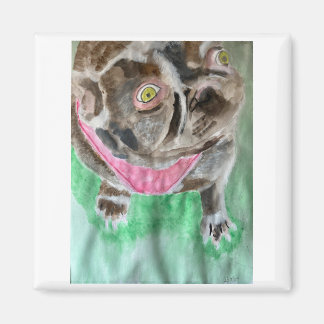 Bruno, der Bulldogmagnet Magnet