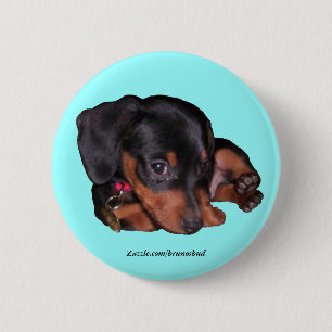 Bruno-Knopf Button
