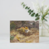 Bruno Liljefors - Fox und Landschaft Postkarte (Stehend Vorderseite)