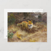 Bruno Liljefors - Fox und Landschaft Postkarte (Vorne/Hinten)