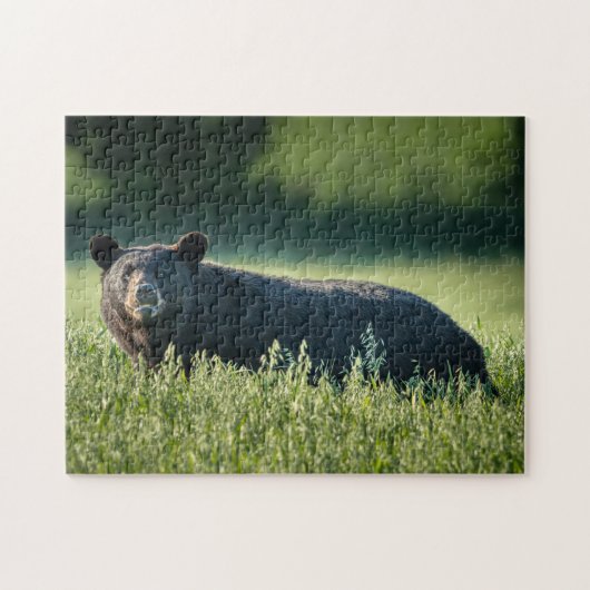 Bruno the Bären Puzzle (Horizontal)